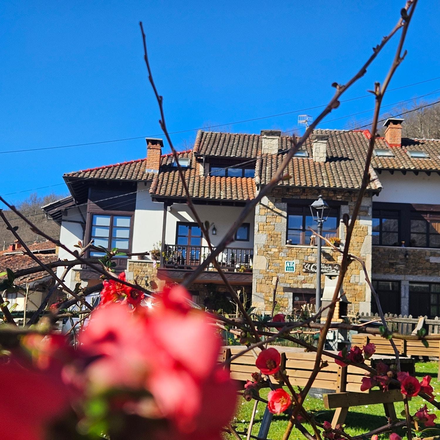 Apartamentos Rurales El Collain De Campiellos Zewnętrze zdjęcie